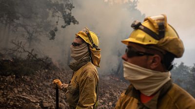 Una decena de incendios est�n activos en toda Espa�a - Informativo 24h | Ver