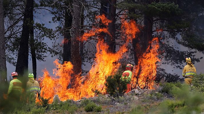Telediario Fin de Semana - El incendio en Zamora está casi estabilizado