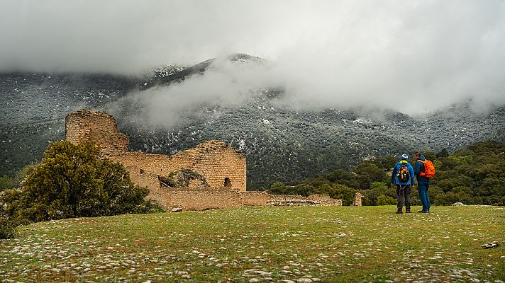 80 cm - Jaén. Mar de sierras