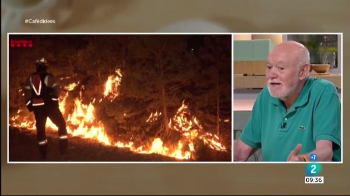 La mañana - Per què cremen els boscos de Catalunya?