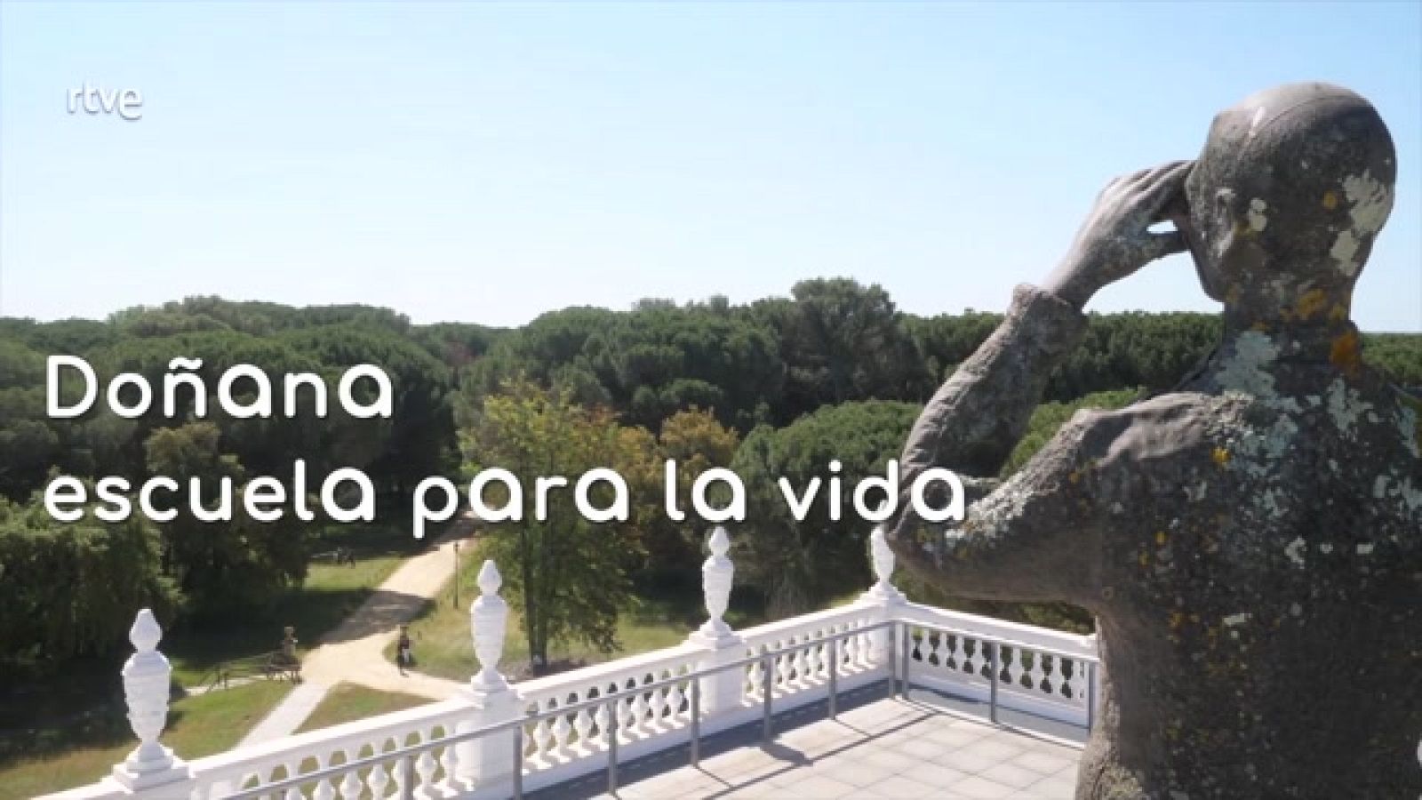 La aventura del saber - Doñana. Escuela para la vida - ver ahora