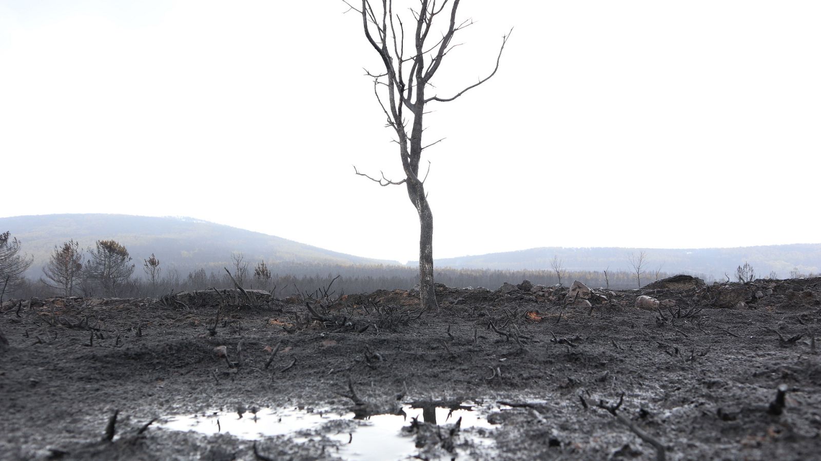La tarde en 24 horas - 20/06/22 (2) - ver ahora