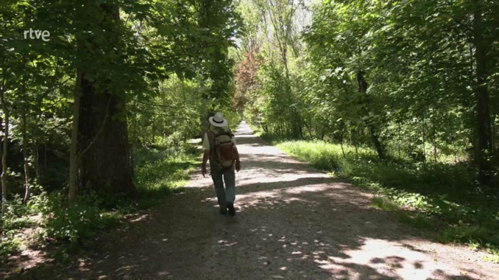 Aquí la Tierra - Los secretos de las plantas depurativas