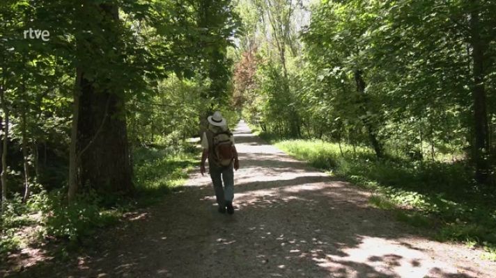 Aquí la Tierra - Los secretos de las plantas depurativas