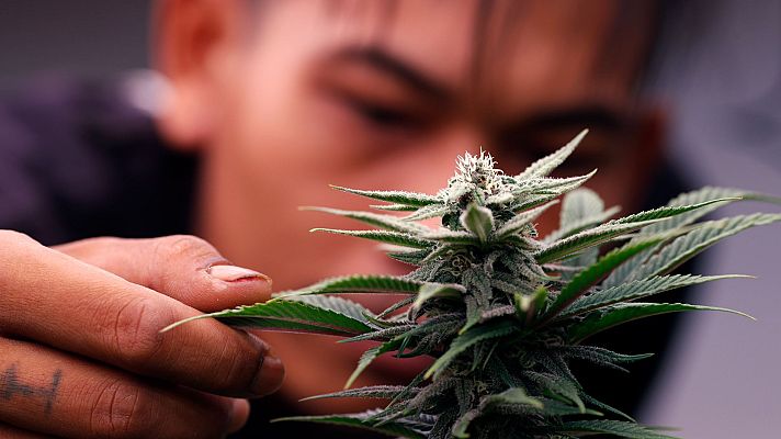 Telediario 2 - El Congreso avala el uso del cannabis medicinal y permitirá su dispensación en farmacias