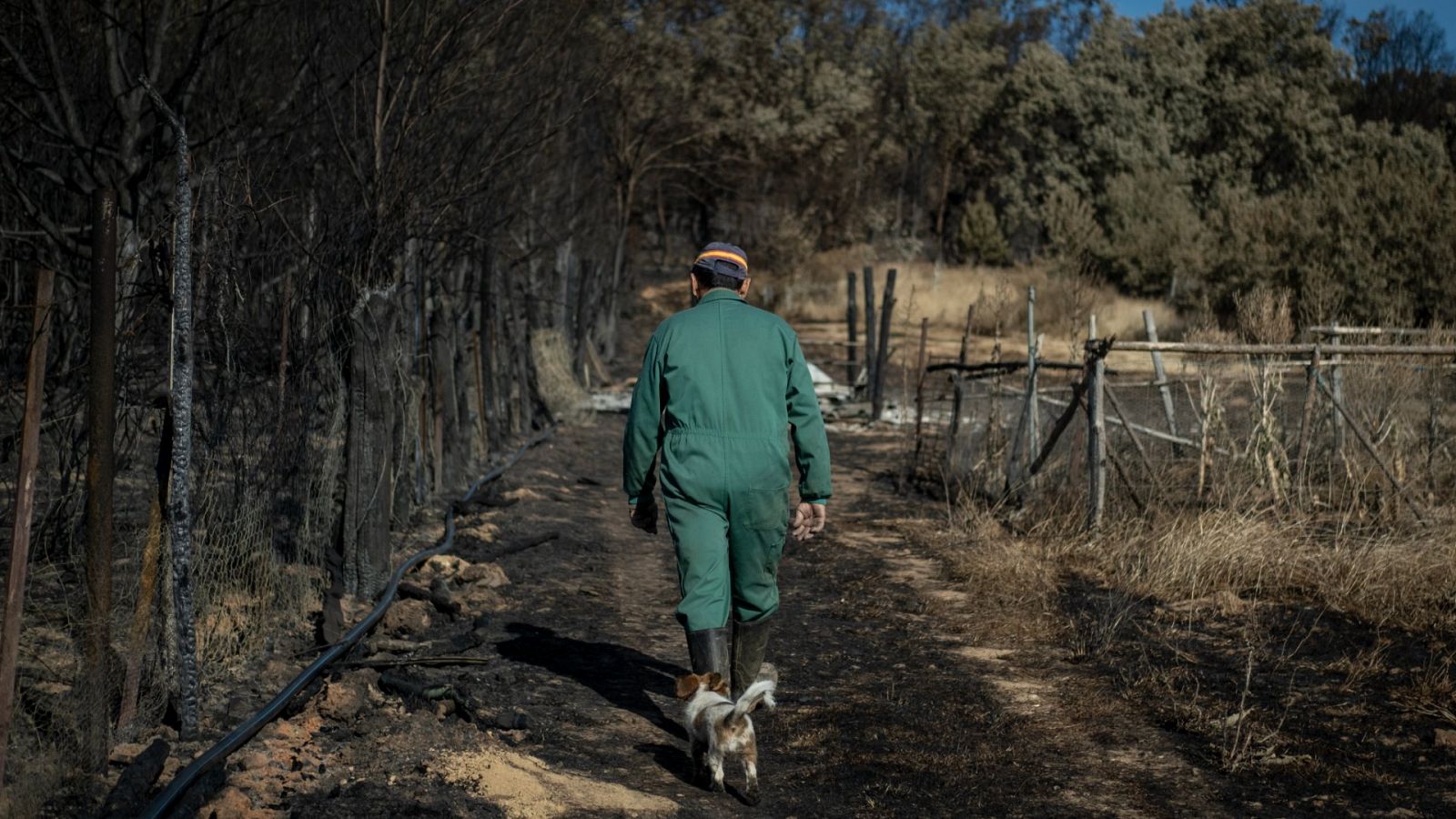 El Gobierno anuncia la declaración de zona catastrófica para seis comunidades autónomas por los incendios