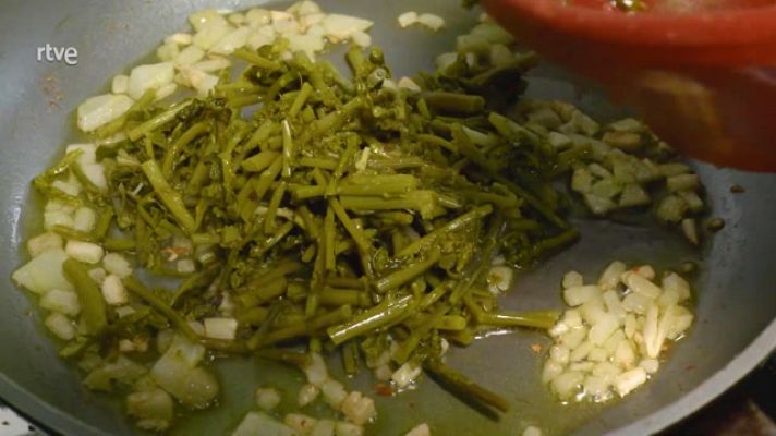 Aquí la Tierra - Recogemos lupios, los espárragos culebras