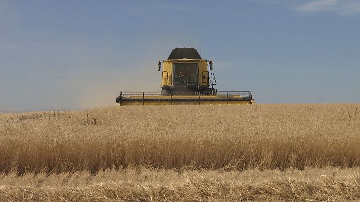 Noticias Andalucía - Comienza la campaña de cereal en Andalucía