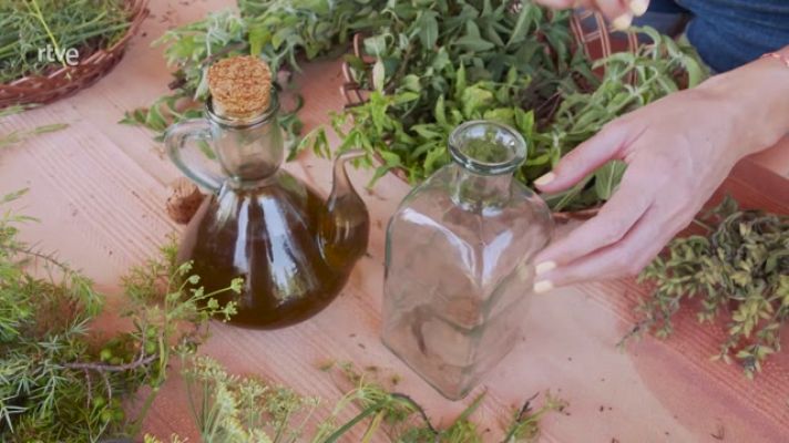 Aquí la Tierra - Cómo hacer un macerado con hierbas, aceite y anís