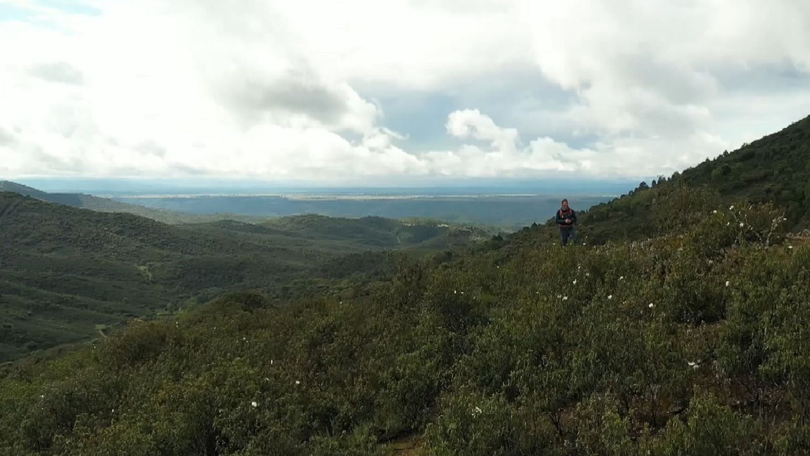80 cm - Valle del Gévalo. Naturaleza recóndita - ver ahora