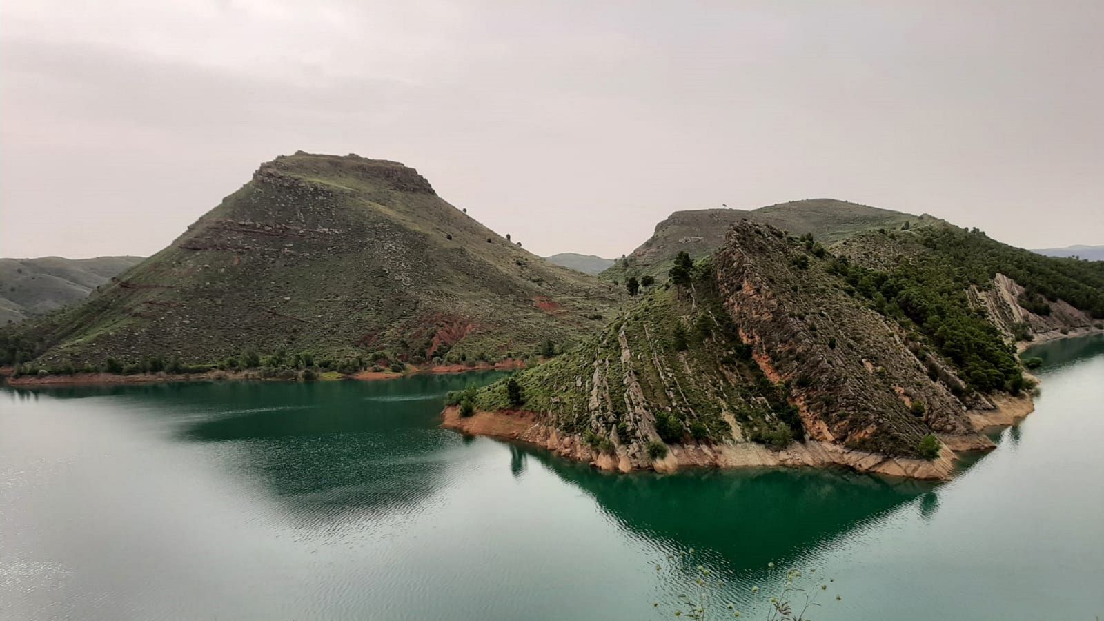 El escarabajo verde - Aguas de vida - ver ahora