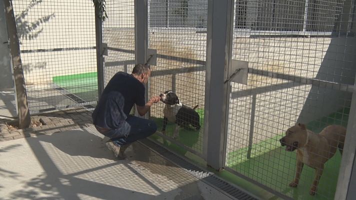 L'Informatiu - Arriba la pitjor època per a les protectores