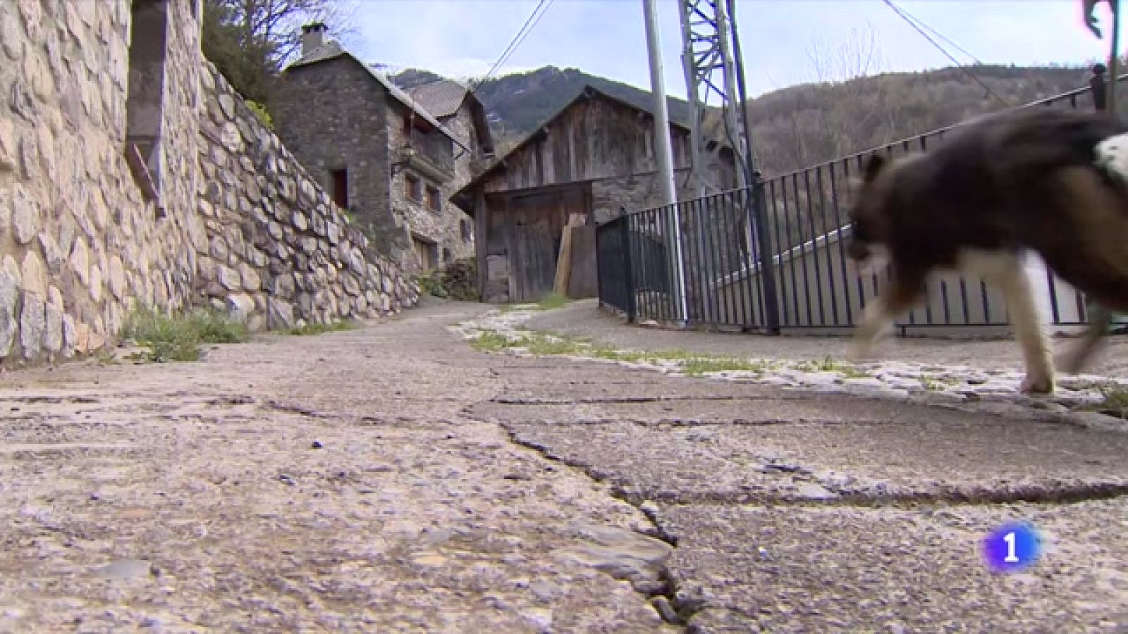 Visitamos la escuela de pastores de San Juan de Plan, en Huesca. - Ver ahora