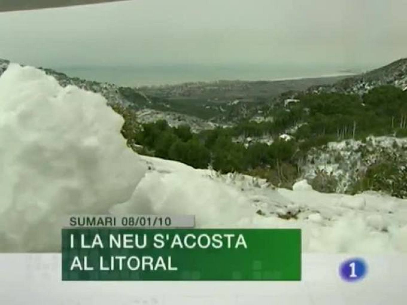 L'Informatiu. Informativo Territorial de la C.Valenciana (08/01/10)