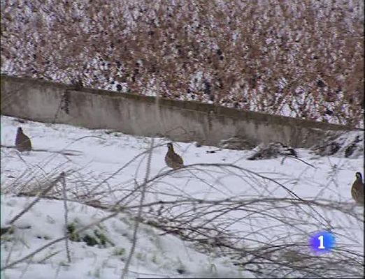 Informativo Telerioja - Informativo Telerioja - 08/01/10