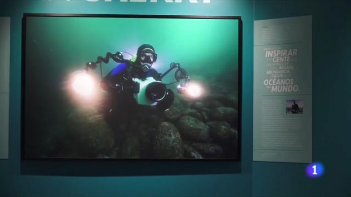 L'Informatiu - National Geographic es submergeix en el món dels taurons