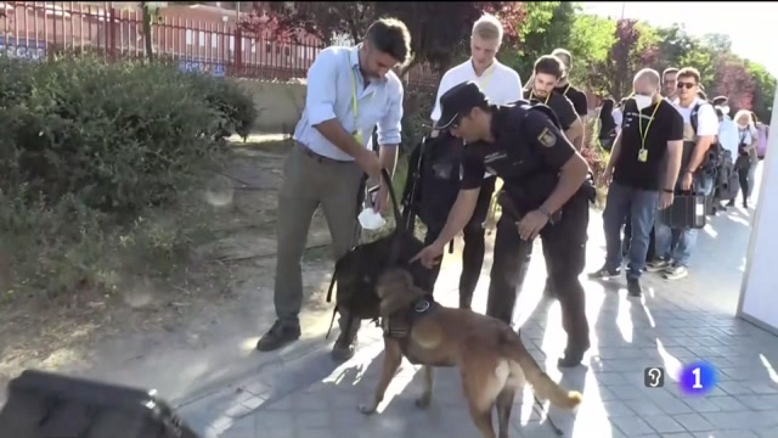 Canarias en 2' - 28/06/2022