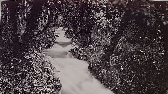 Atención obras - Atención Obras - Sebastiao Salgado y las Colecciones Reales