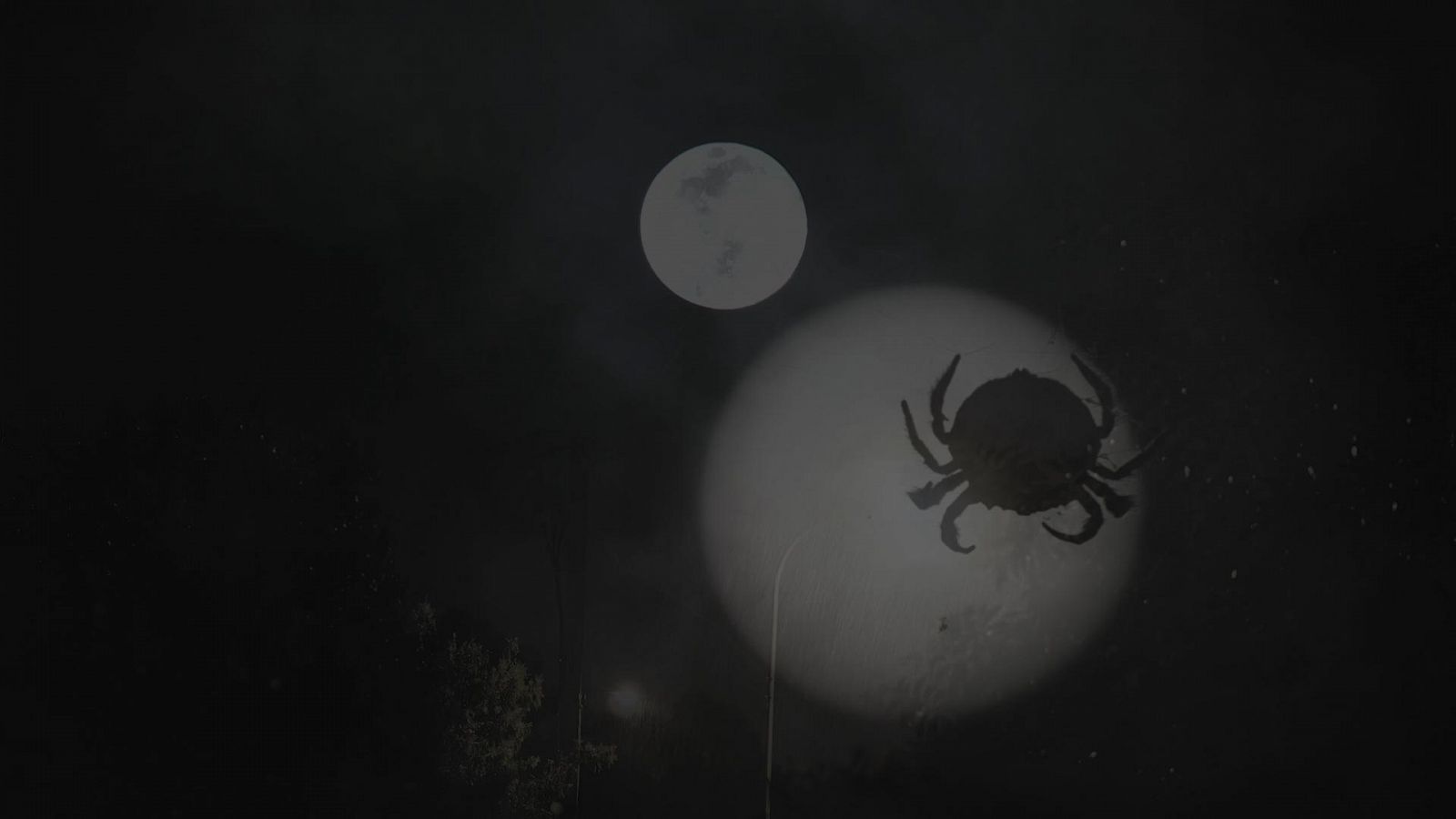 Palabra Voyeur - ADRIANA BAÑARES - 04/07/2022 - Ver ahora