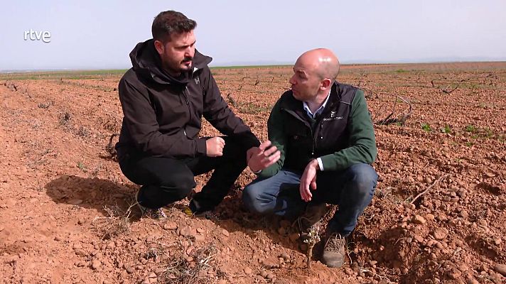 Aquí la Tierra - Aquí la Tierra - 10/06/22