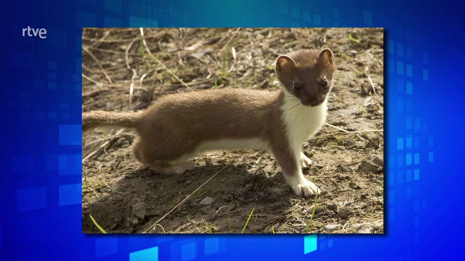 Saber y ganar - 01/07/22 - ver ahora