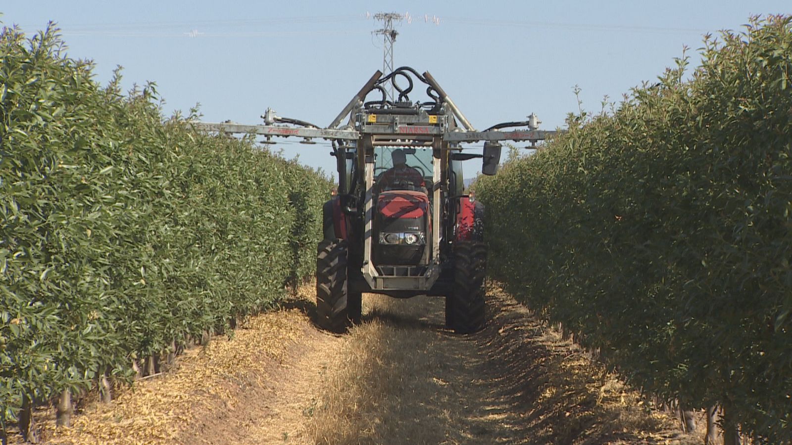 Agrosfera - 02/07/22 - ver ahora
