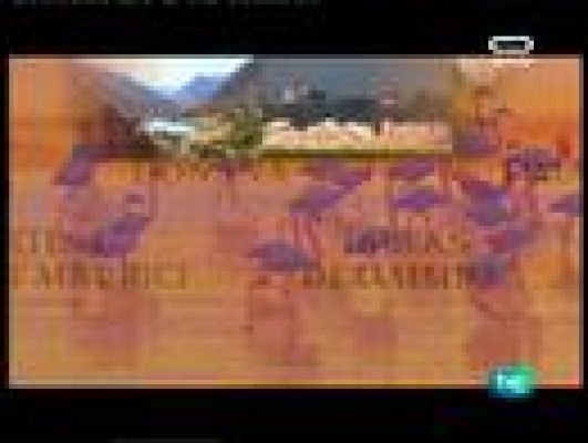 Espacios naturales - Sierra Nevada