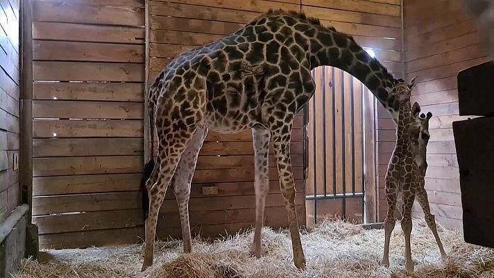 Aquí la Tierra - Aquí la Tierra - 04/07/22