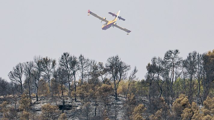 Diario 24 - Diario 24 - 05/07/22 (2)