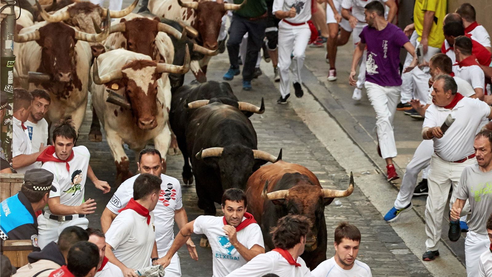 TVE celebra 40 años de encierros en directo