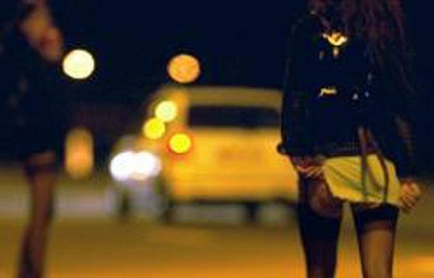  - Policía desarticula dos redes