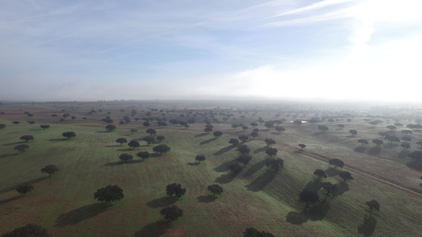 Portugal salvaje - Episodio 1: De las llanuras a las montañas - Ver ahora