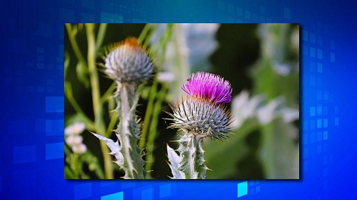 Saber y ganar - Saber y ganar. Edición de fin de semana - 16/07/22