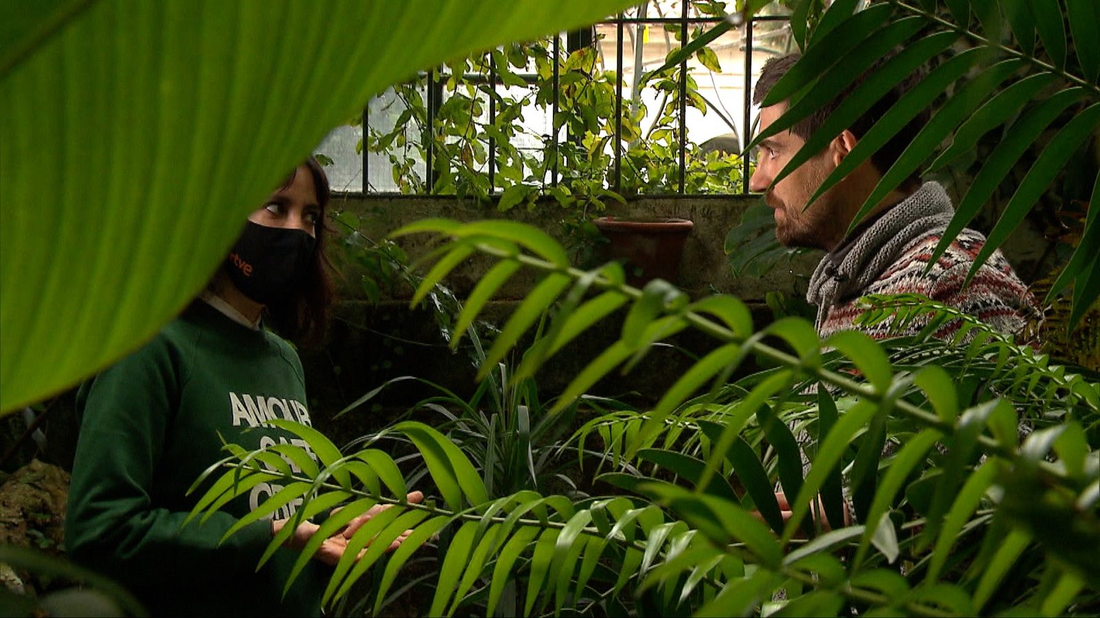 Cámara abierta - Programa especial: Educación y TikTok; talentos musicales en redes sociales; y Javier Peña en 1minutoCOM  - ver ahora