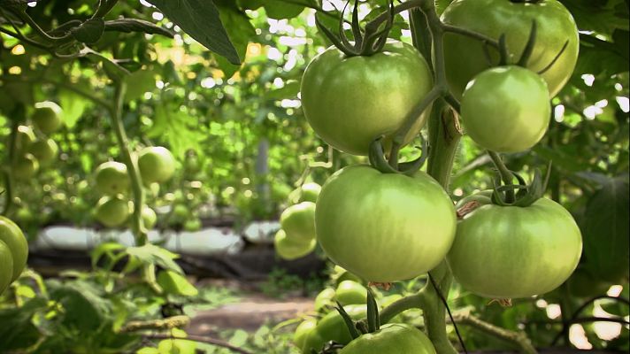 Aquí la Tierra - Aquí la Tierra - 07/07/22