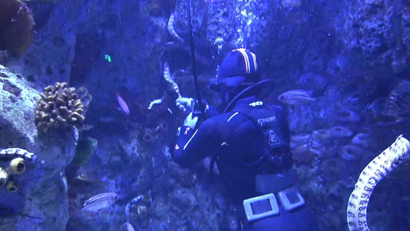 Aquí hay trabajo - 08/07/22 - ver ahora