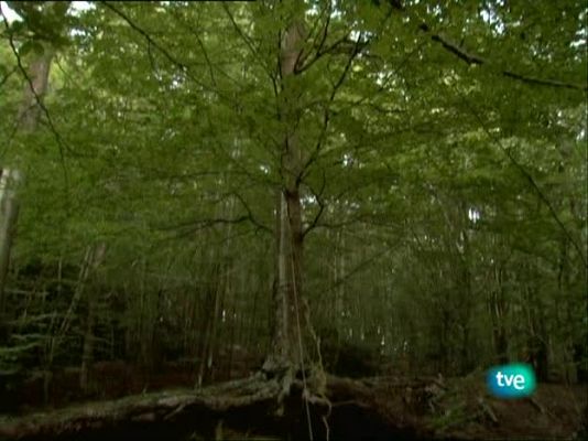 Metrópolis - Descubrimientos PHE 2009