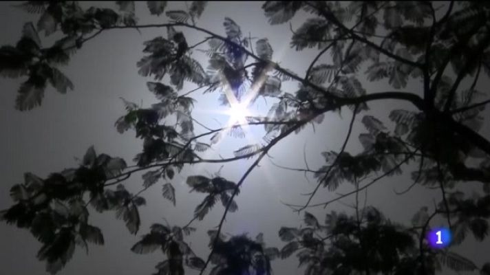 Telecanarias - Canarias en 2' - 09/07/2022