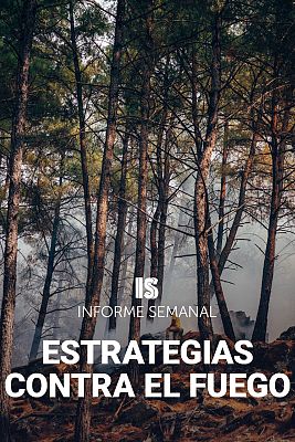 Informe Semanal - Antes de que se queme el bosque