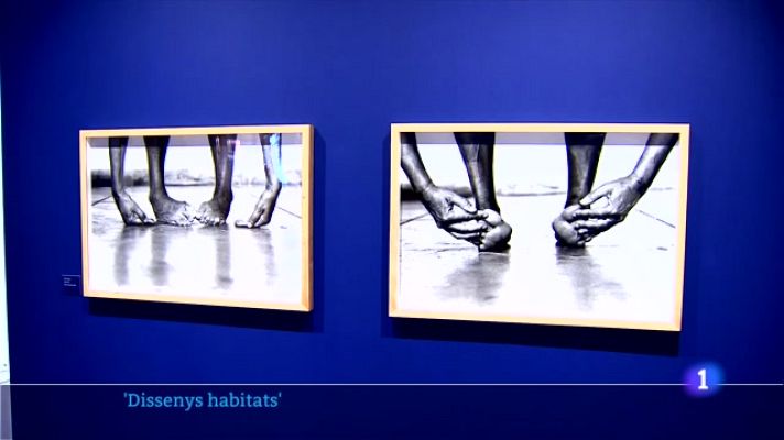 L'Informatiu - Chema Madoz i Helena Almeida, a Foto Colectania