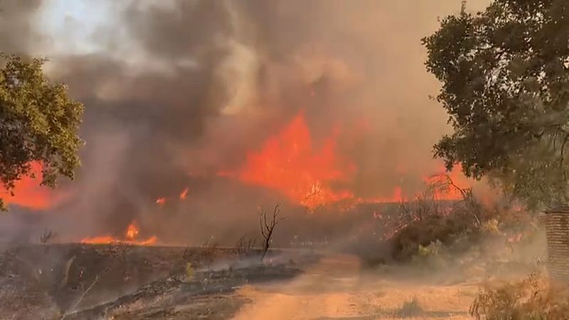 Incendio en El Ronquillo