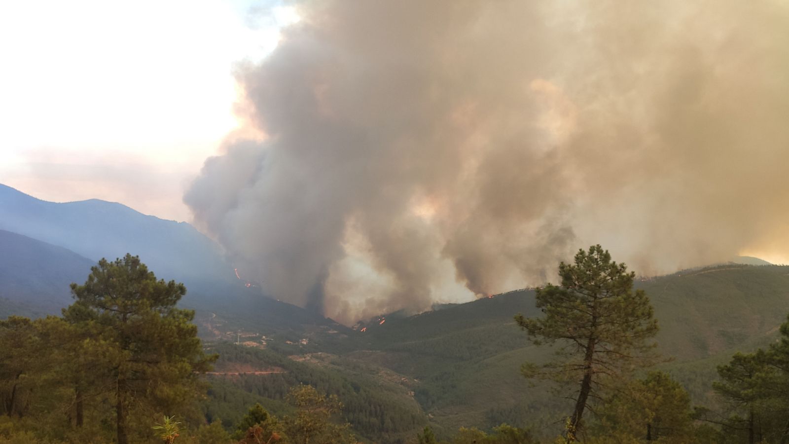 Noticias 24 horas - 20h - 11/07/22 - ver ahora