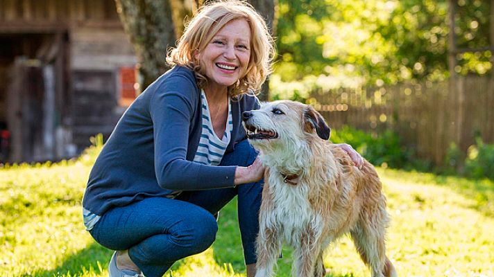 Cine internacional - Madre al rescate