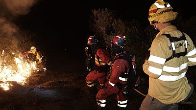El fuego evoluciona favorablemente en C�ceres, pero se extiende en Salamanca