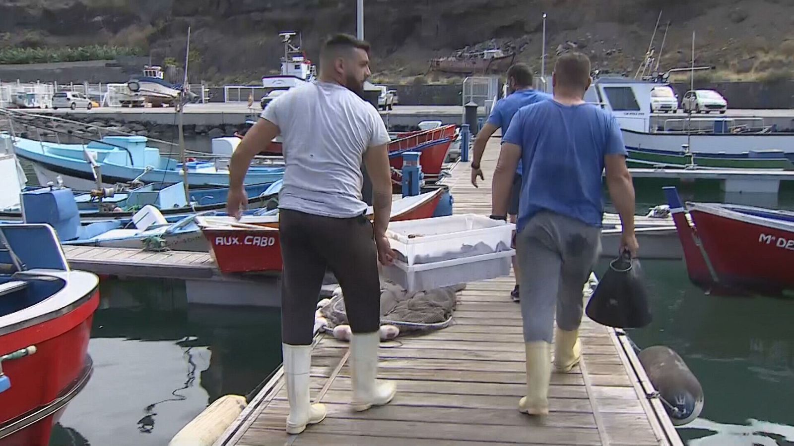 Salir a faenar no sale rentable - Telecanarias | Ver