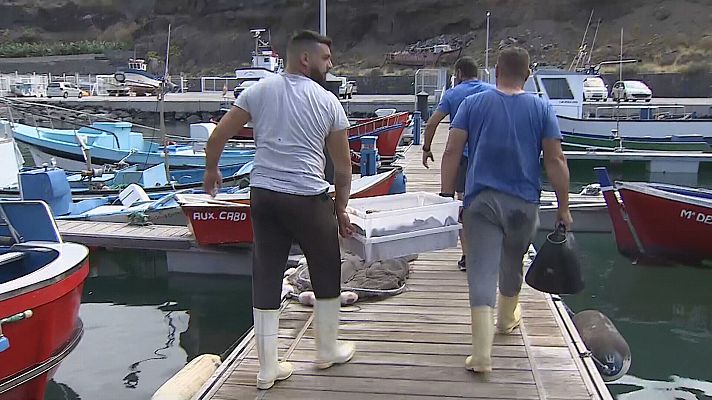 Telecanarias - Salir a faenar no sale rentable