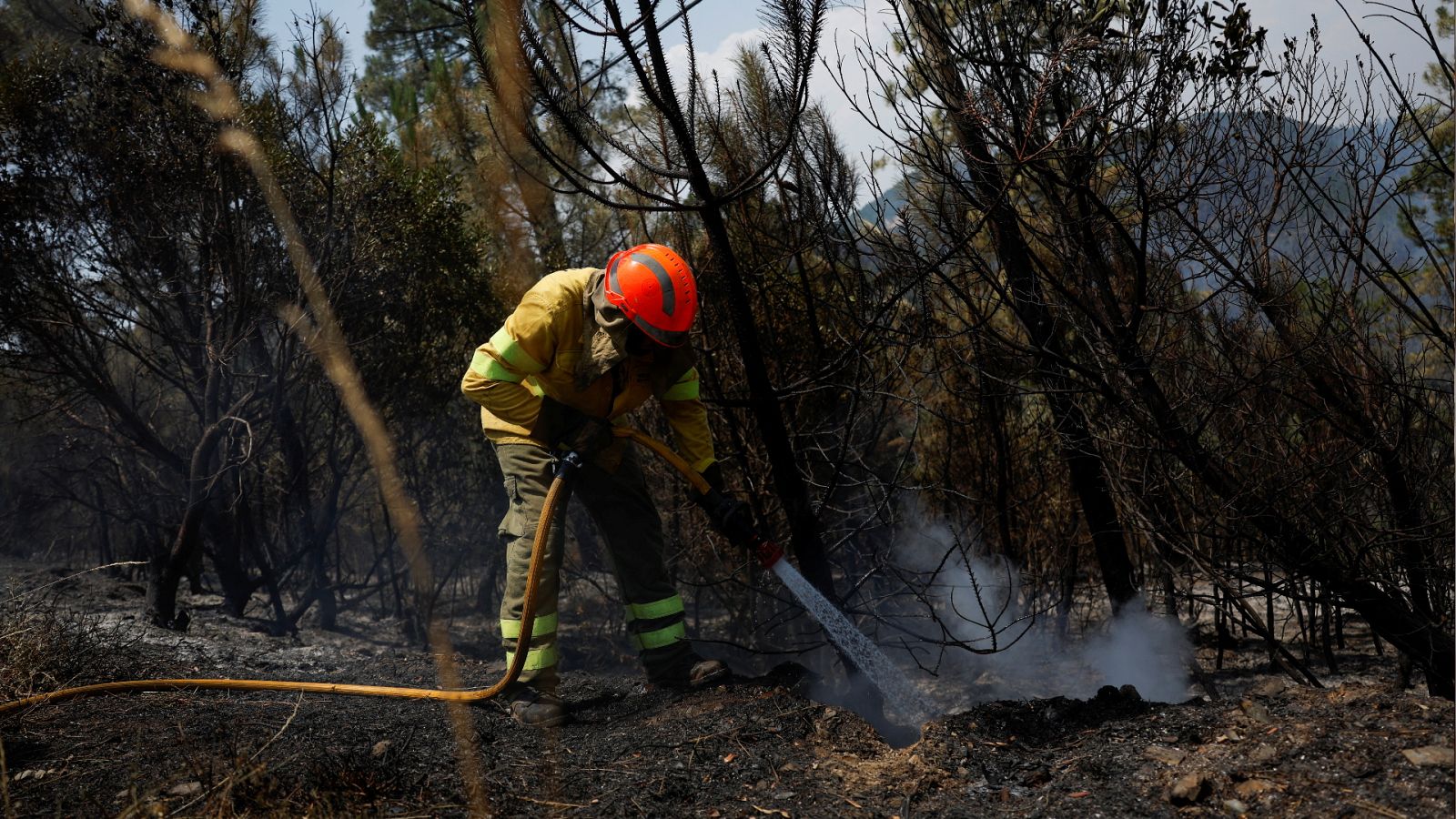 Telediario - 21 horas - 14/07/22 - ver ahora
