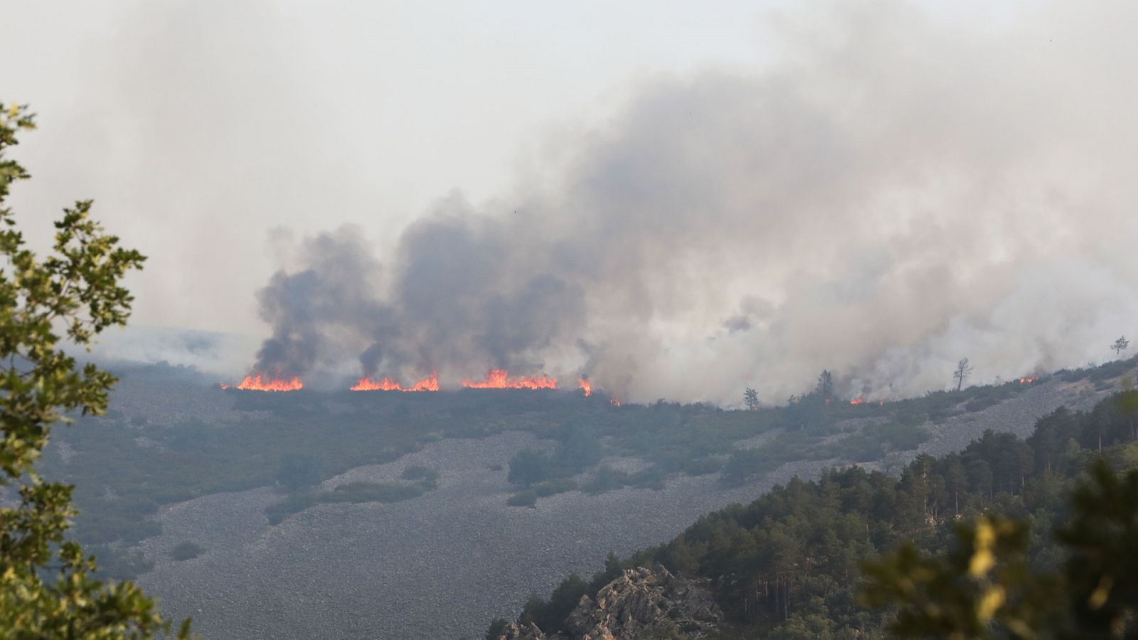 Noticias 24 horas - 20h - 14/07/22 - ver ahora