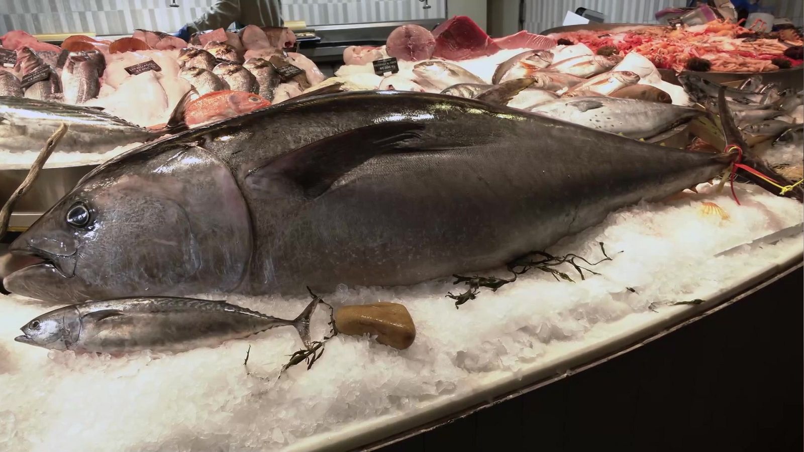 Aquí la Tierra - 14/07/22 - ver ahora