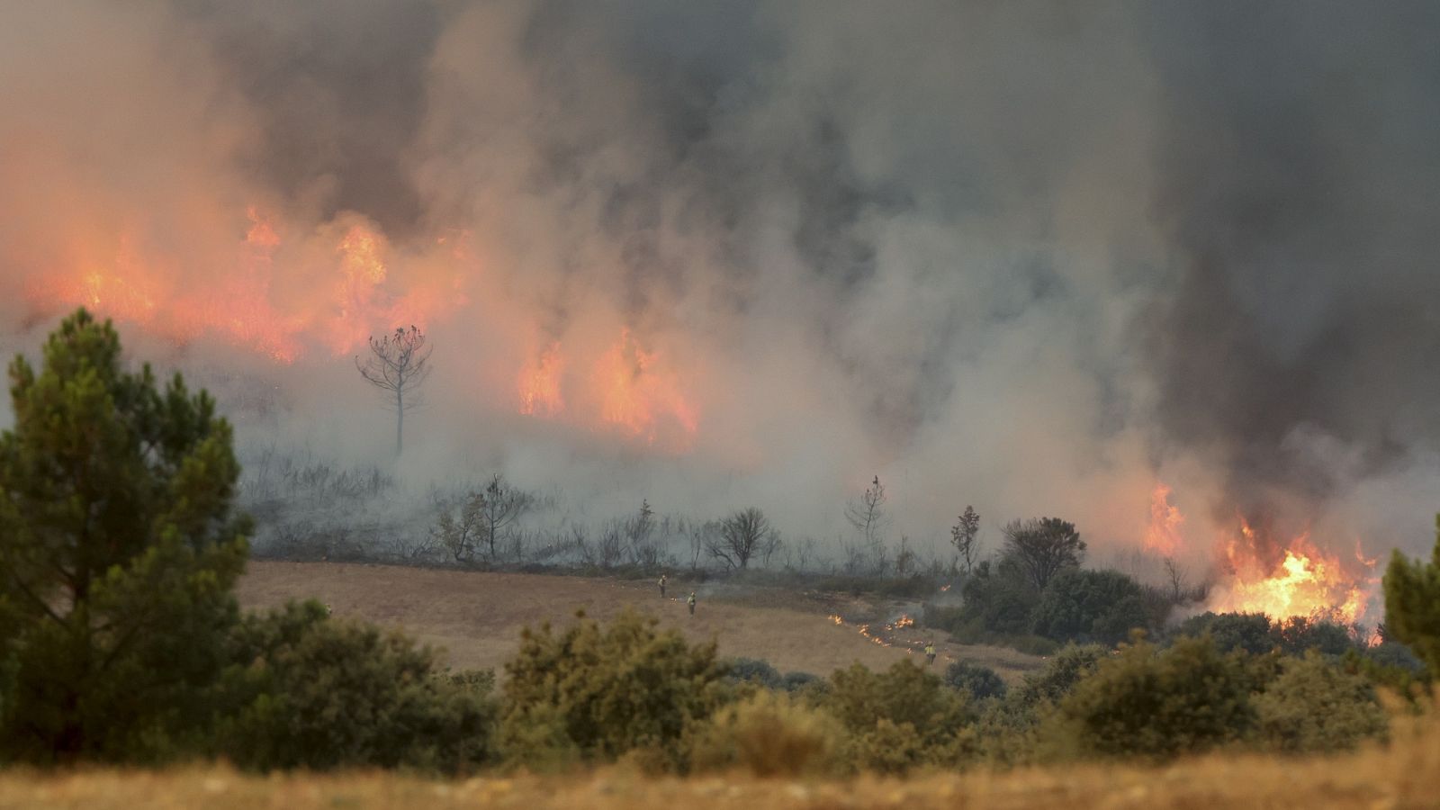 Diario 24 - 15/07/22 (1) - ver ahora